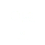 lgg